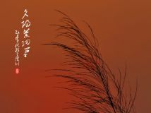 Ϧ޹ϸ