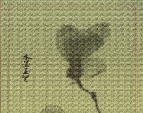 ˮī