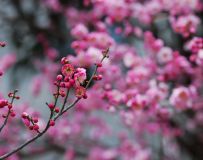 ӽ÷24