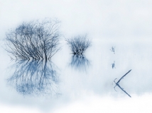 ֮
