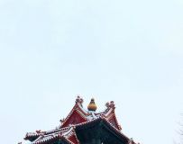 ѩʹ¥ģ42
