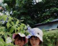跢