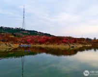 南阳塔山梅花园采