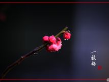 һ֦÷