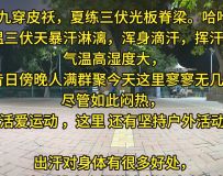 ŴƤn弹
