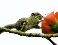ľ޻С󡿡1