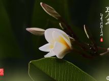 ˻