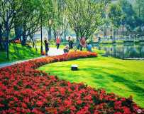 Ħڭع԰һƳ