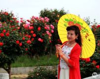 ǹ----绨¼԰㻨3
