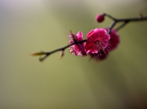 ӽ֮÷һ
