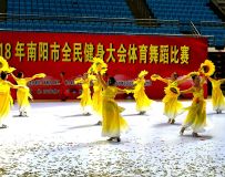 2018ȫ赸赸
