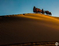 ټɳ棨11