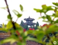 续