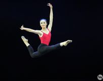 ׼