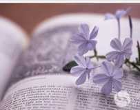 ӰйӰ׺-ȺĻݳԲɹ