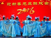 ӭ´2016Ԫ᡿--赸׸衿