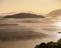 渔家的海田换金波