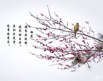 ÷ִ