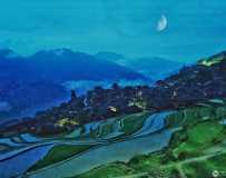 峿