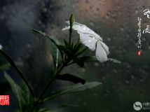 ʱ