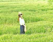 Ԫ
