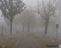 (2)