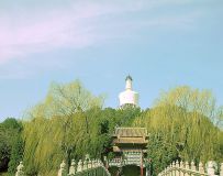 ֮