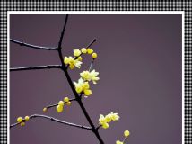 ÷