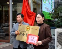 ɫܲ ͬĹٴСɫĻٽΪӳƸ᳤λ