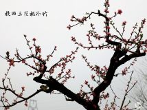 һ֦