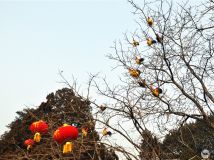 꼪顪˴󴦲ɷ֮ʮ