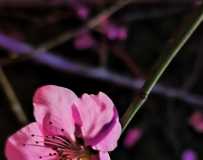 һ(3)