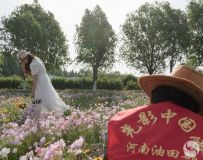 ʮӲɷ磨5