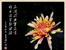Ұջɷ硿ٻԣŨ