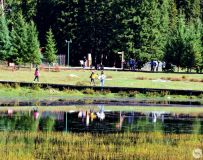 ����˹����Ȼ���