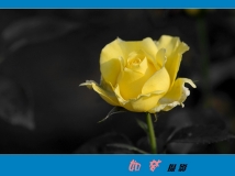 1255ͩزһ¼