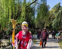 ��԰����