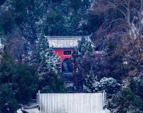 ѩ��������