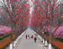 �����羰26.7