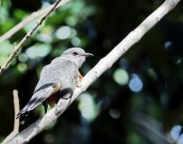 �����ž�