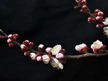 lϼҵӻ1