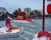 ����ѩ�׷���--��������顿