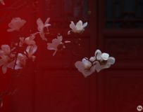 湬12