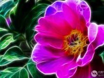 Ӱĵ