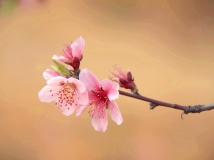 Ϧ졿һ3