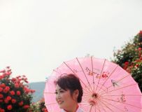 ǹ----绨¼԰㻨2