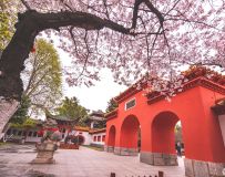 ӣ������