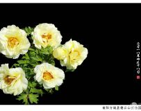 ǹ----------ǵɽֲ԰5