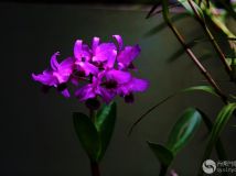 滨֮