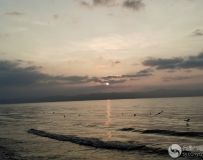 ϳνɺ䣨15